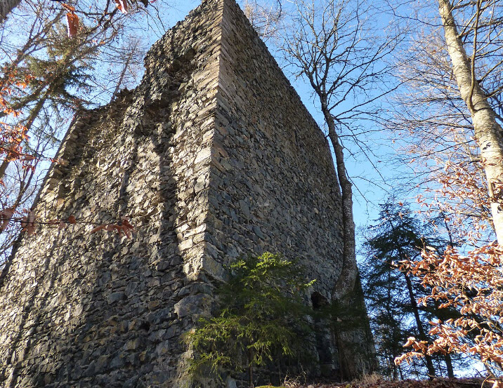 Burg Karlsberg (Kärnten), Sankt Veit an der Glan, Austria, Austria